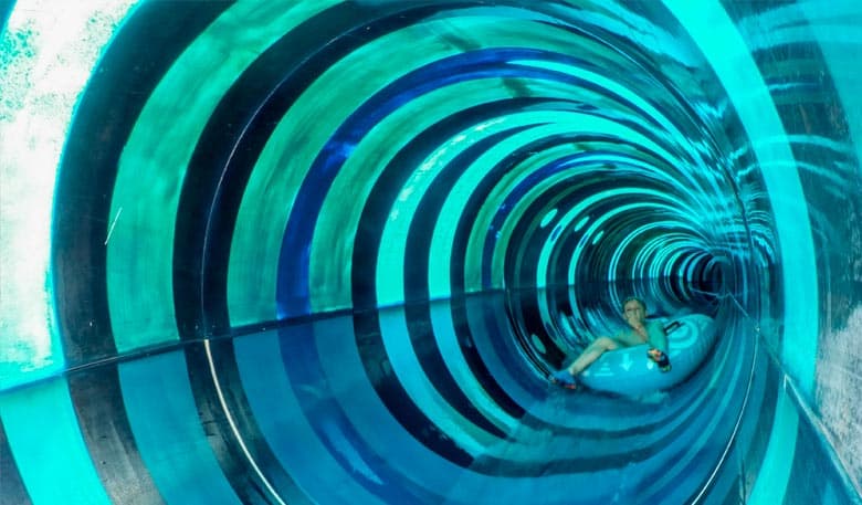 Black Hole